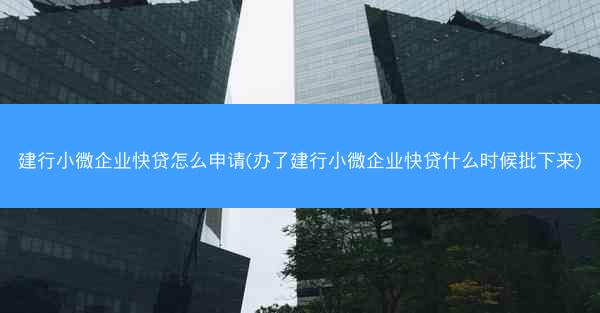 建行小微企业快贷怎么申请(办了建行小微企业快贷什么时候批下来)
