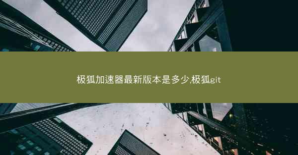 极狐加速器最新版本是多少,极狐git