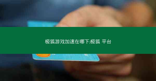 极狐游戏加速在哪下;极狐 平台